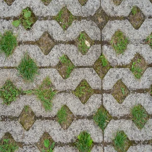 concregrama piso