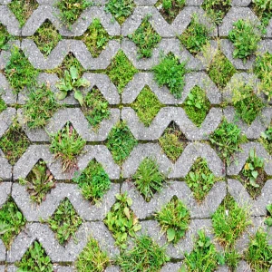 concregrama pisograma
