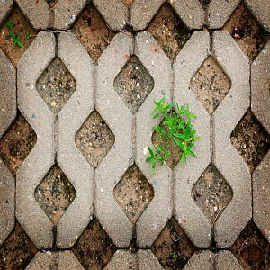 piso concregrama