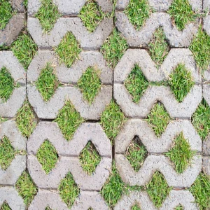 pisograma piso ecológico